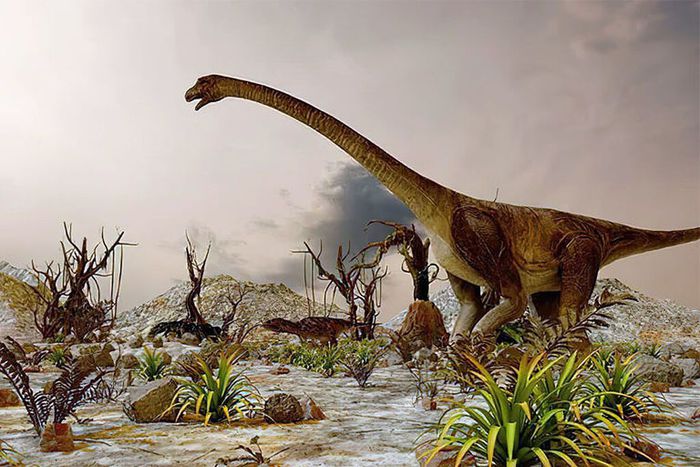 dinofarm-diplodocus-cover-768x512